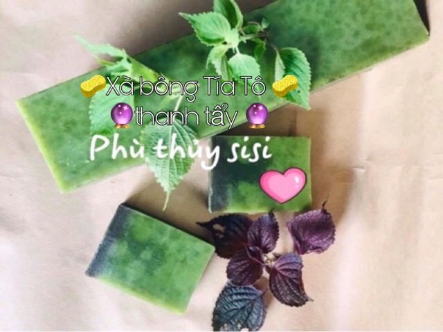 XÀ BÔNG THANH TẨY-100% TỰ NHIÊN | BigBuy360 - bigbuy360.vn