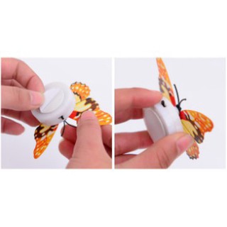 Sticker dán tường bướm phát sáng 3D