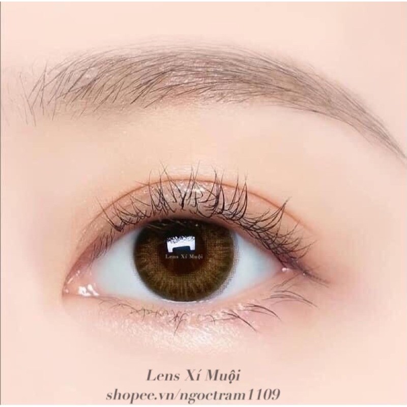 Lens mắt nâu giản nhẹ Thari