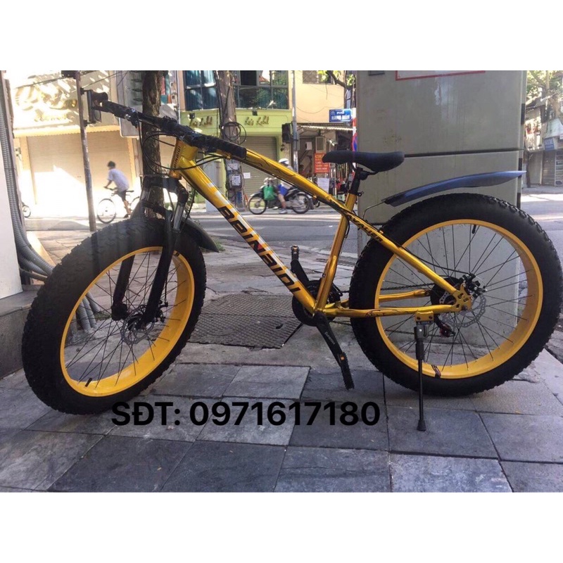 XE ĐẠP BÁNH BÉO BÁO LỬA BEINAQI