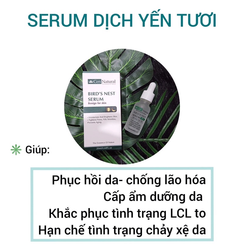 SERUM YẾN - BIRD’S NEST SERUM
