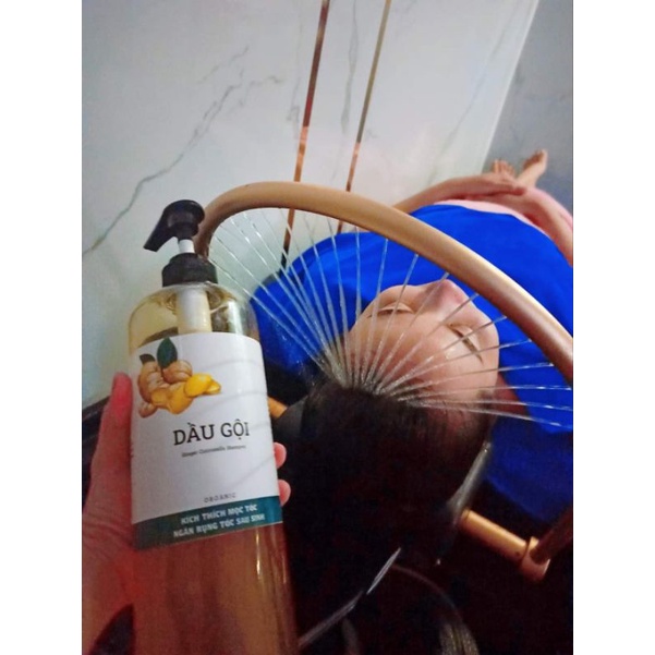 Dầu Gội Xả Thiên Nhiên Sạch Gàu, Mọc Tóc, Ngăn Rụng, Phục Hồi Tóc Khô Sơ Hư Tổn.