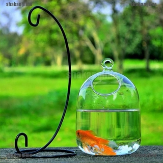 Lọ Thủy Tinh Nuôi Cá Treo Tường Sáng Tạo