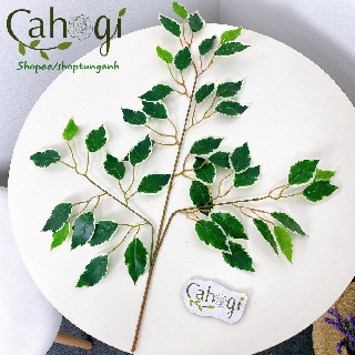 Cây Giả - Cành Si Lá Viền Trắng Cỡ Lớn (mặt lá bằng nhựa)