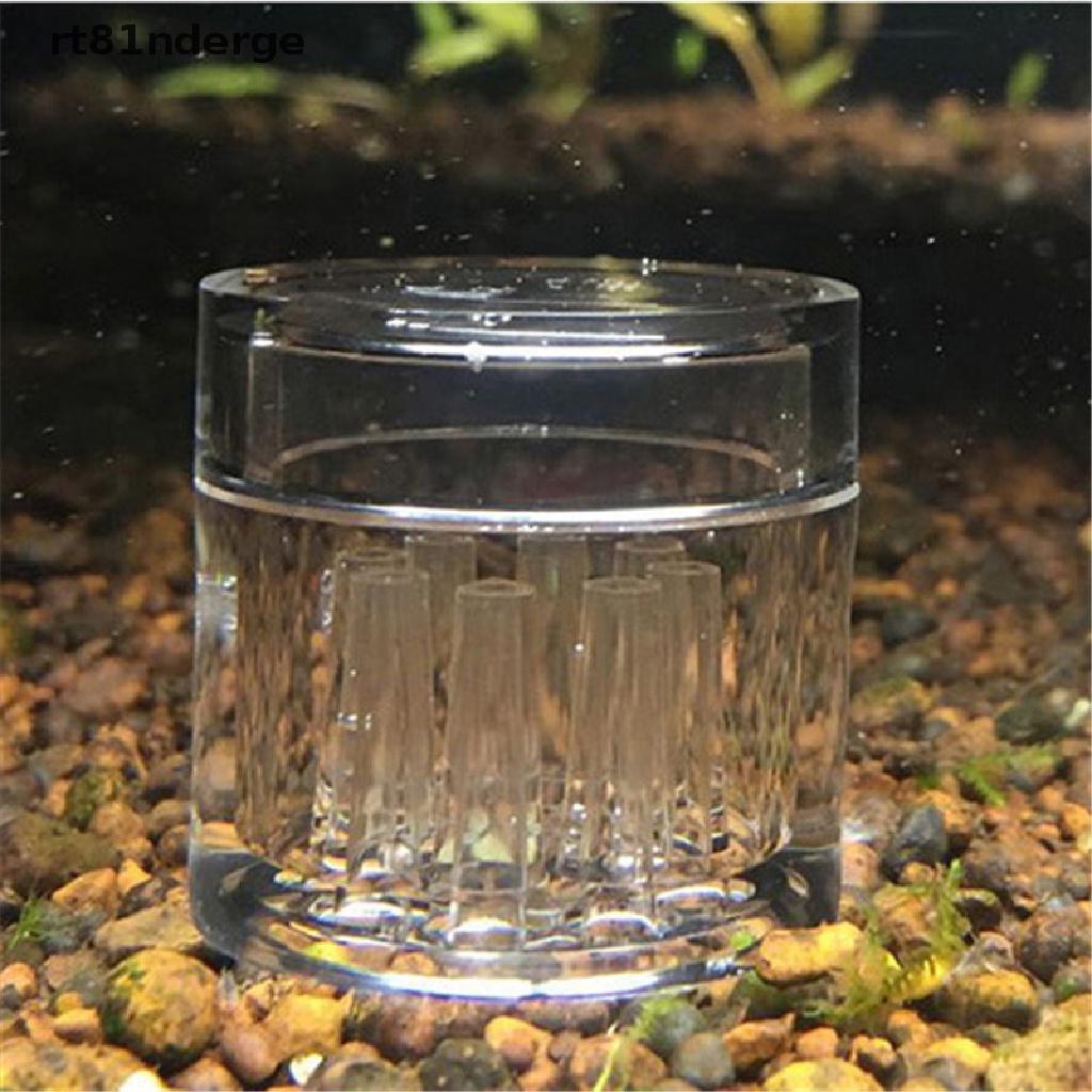 【ge】 8 Hole snail trap free bait for aquarium fish plants tank Planarian leech Catch .