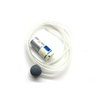 Bơm Sục Bể Cá Mini