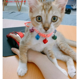 Vòng cổ cho Chó Mèo nhỏ nhiều chuông lục lạc - Love pets shop