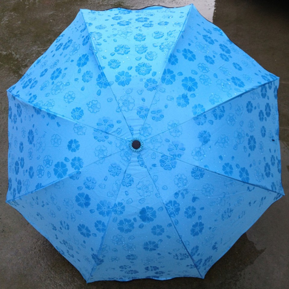 Ô NỞ HOA THẦN KÌ