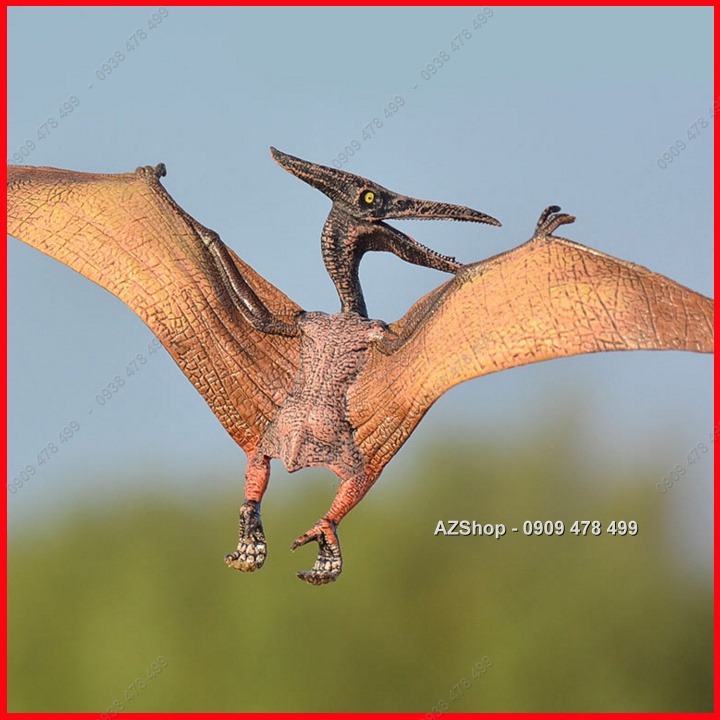 Mô Hình Thằn Lằn Bay Pteranodon Sải Cánh 22cm - Khủng Long Tiền Sử - 7748.2