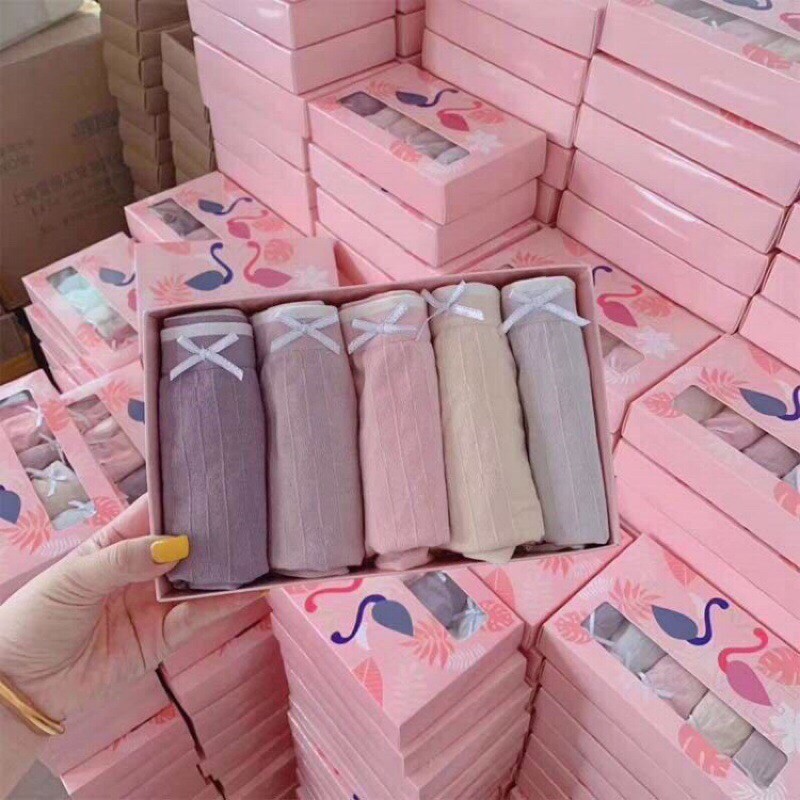 Hộp 5 Quần Lót Cotton Thiên Nga Dễ Thương Co Giãn 4 Chiều Cao Cấp