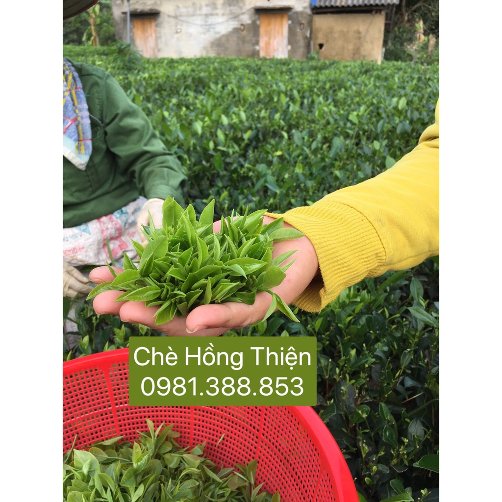 200g Trà Thái Nguyên - Chè Thái Nguyên - Chè Tôm nõn 1