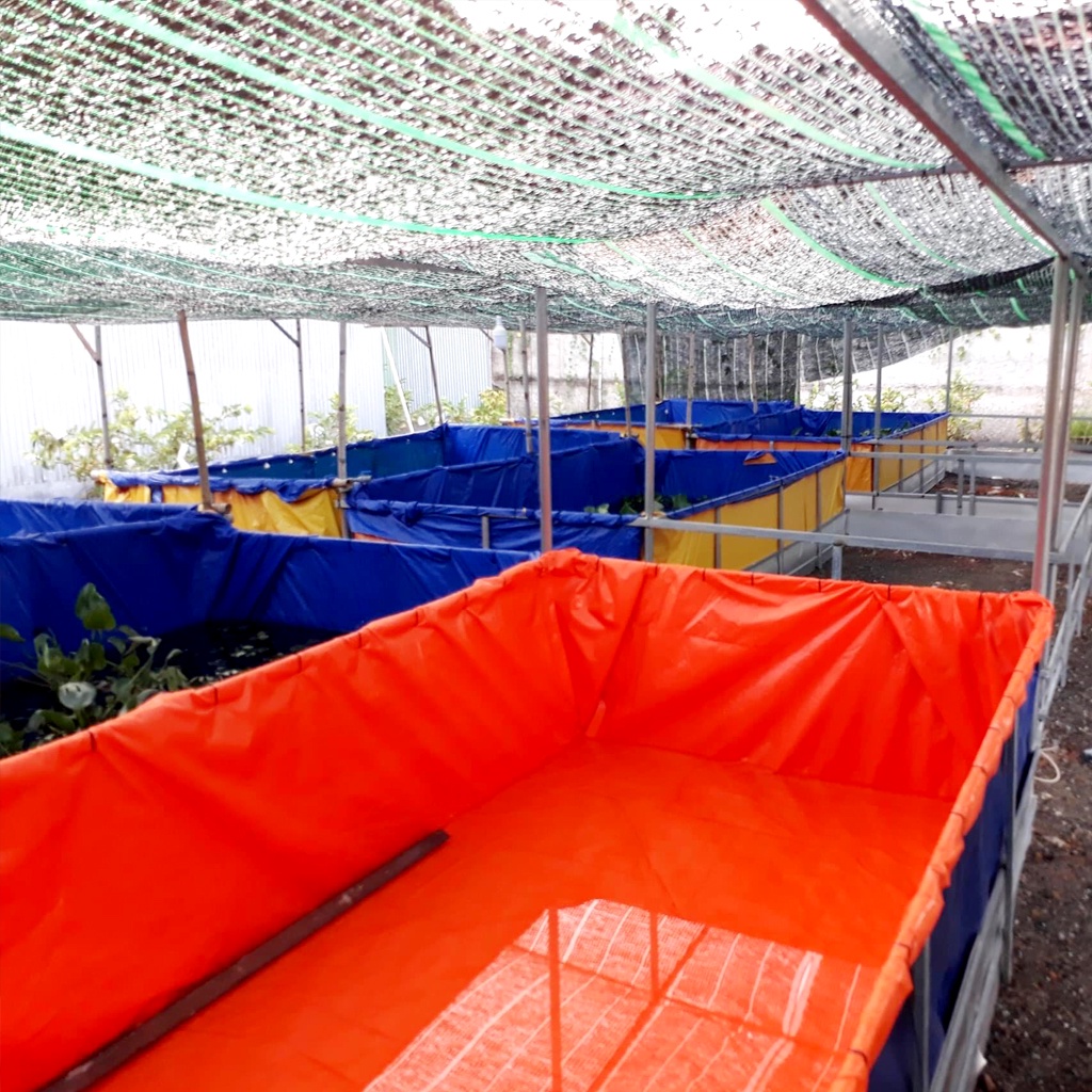 Bể bạt nuôi ốc lươn cá kích thước 2m x 1m x 0.5 loại dai dày chắc chắn