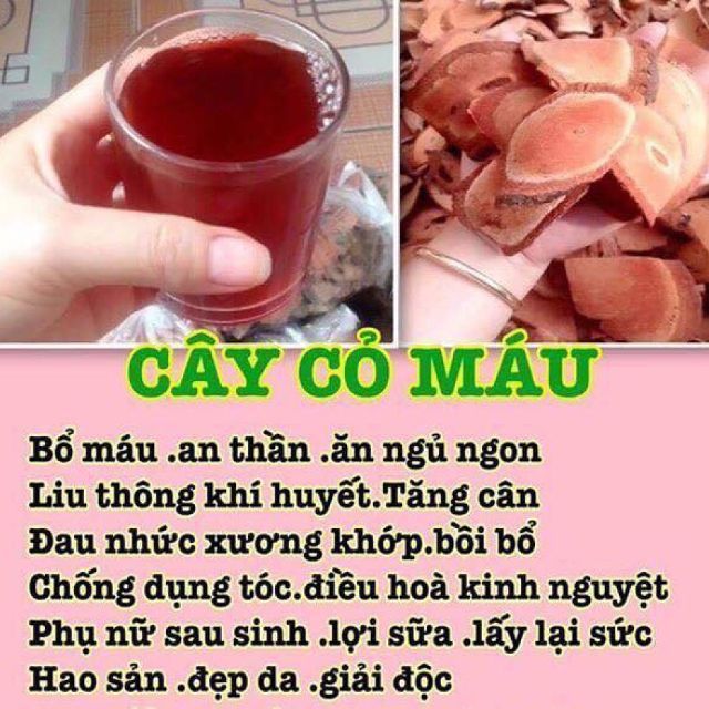Cỏ máu tăng cân ( 9 vị thuốc)