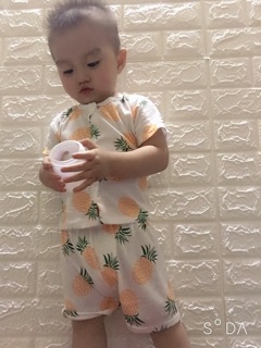 Set 5 bộ hoa quả cho bé yêu