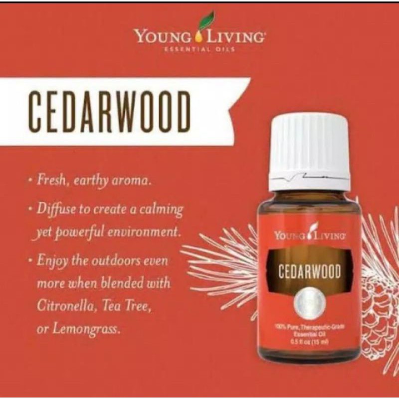 Cedar Wood 15ml Young Living