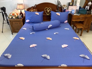 Drap cotton Hàn quốc khổ mền 2x2m