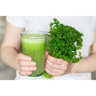 Hạt Giống Rau Cần Tây