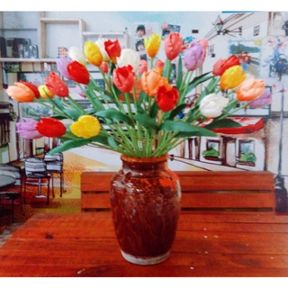 Hoa tulip đất sét