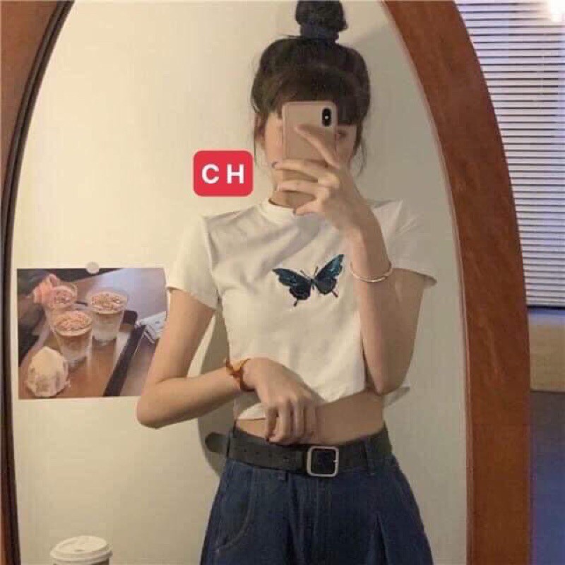 [ Mã WASTAPR giảm 10K đơn 50K] Áo croptop bozip con bướm xanh CH12 | BigBuy360 - bigbuy360.vn