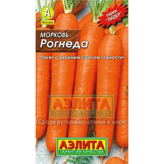 HẠT GIỐNG CÀ RỐT CÁC LOẠI - 1 gói