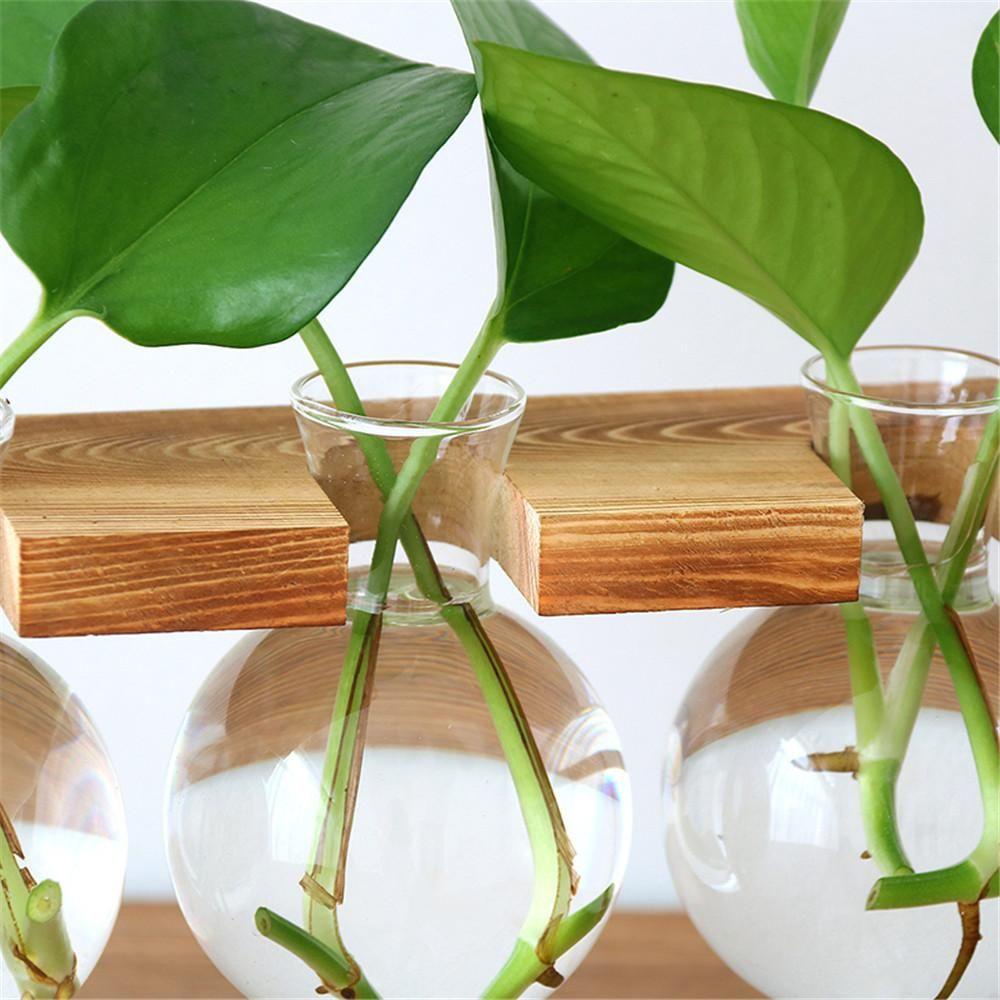 Chậu Trồng Cây Thủy Canh Khung Gỗ Để Bàn Trang Trí