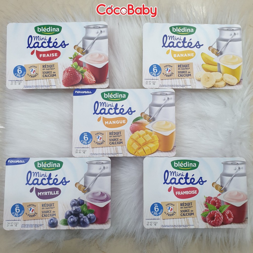 Sữa chua nguội Bledina Pháp cho bé từ 6M đủ vị Cocobaby date tháng 7/21