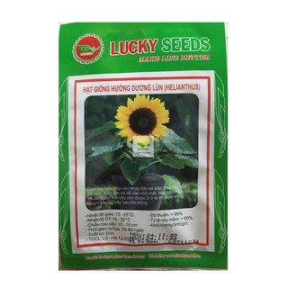Hạt hoa hướng dương lùn