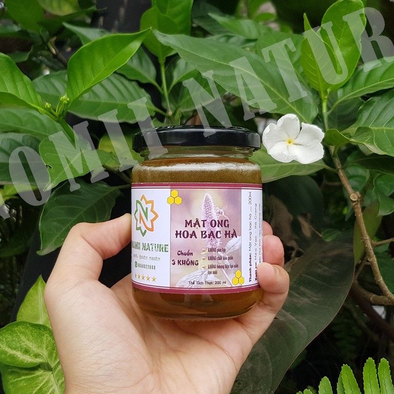 Mật ong bạc hà Mèo Vạc Hà Giang (200ml) - ĐỂ TỦ LẠNH VÔ TƯ | BigBuy360 - bigbuy360.vn