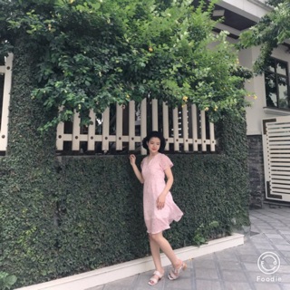 Combo phương đặng