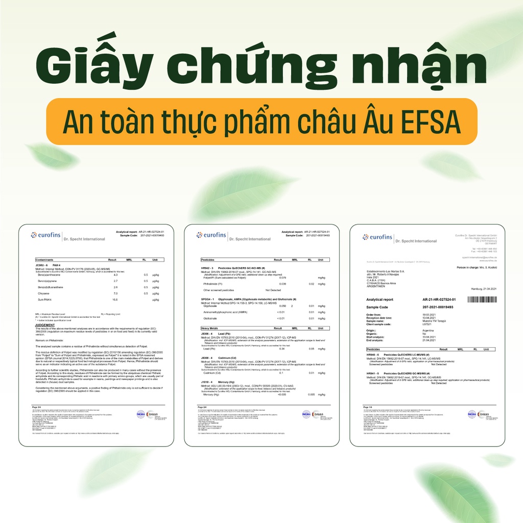 [COMBO] Trà Yerba Maté Loose Leaf 180g vị Truyền thống + Bình Thủy Tinh tiện lợi