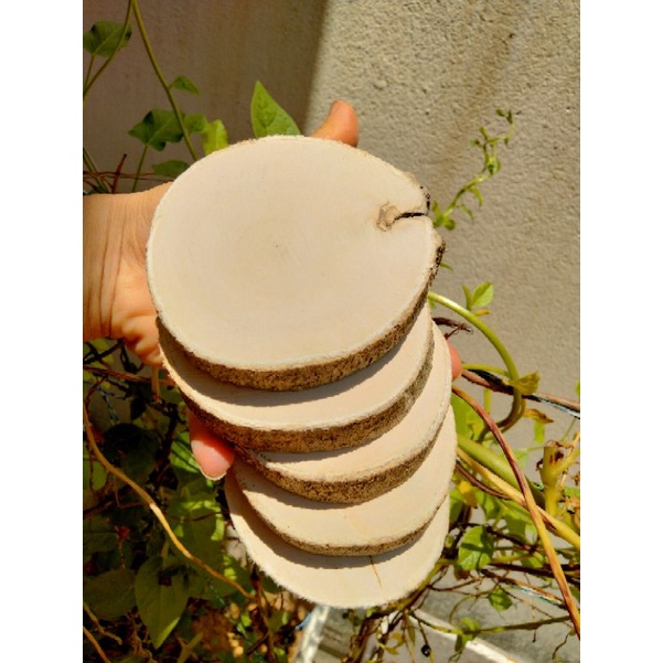 Set 20 lát gỗ trơn đk 6-8cm giá 65k