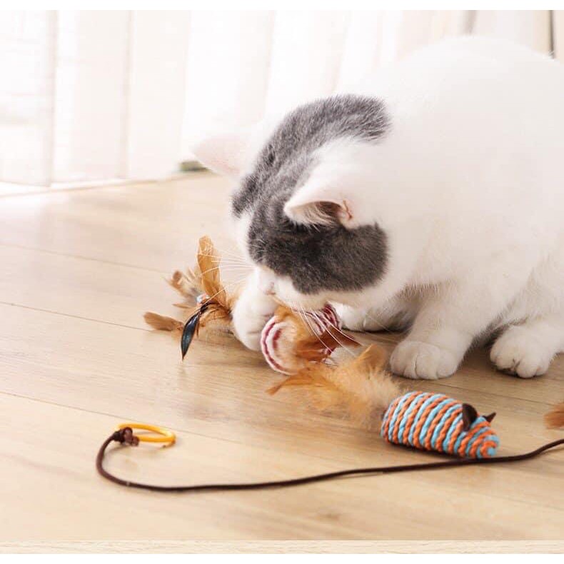 [Mua 1 được 7] Combo 7 món cần câu gỗ cho mèo đồ chơi cho mèo