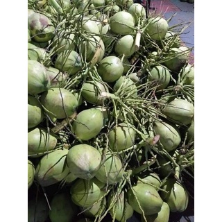 Mứt Dừa Non Handmade 500g