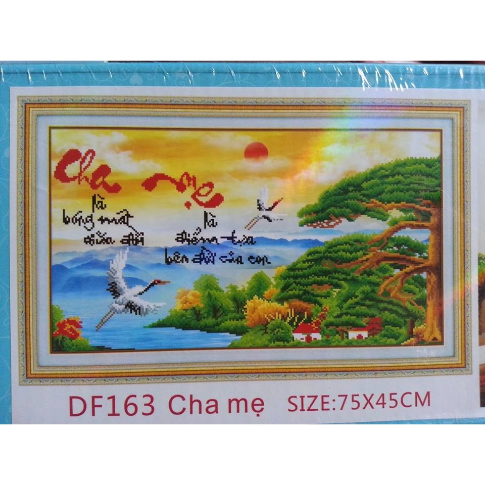 Tranh đính đá DZ-163