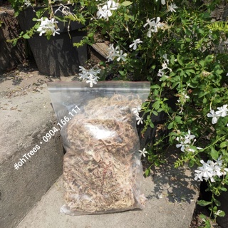 Rêu/dớn trắng chi lê nhập khẩu 100gr