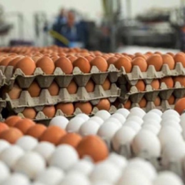 TRỨNG GÀ/VỊT TƯƠI 1 HỘP 10 QUẢ | NOWSHIP