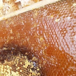 Mật ong nguyên chất 100% bee honey hoa nhãn 1 lít thế hồng honey trả hàng - ảnh sản phẩm 3