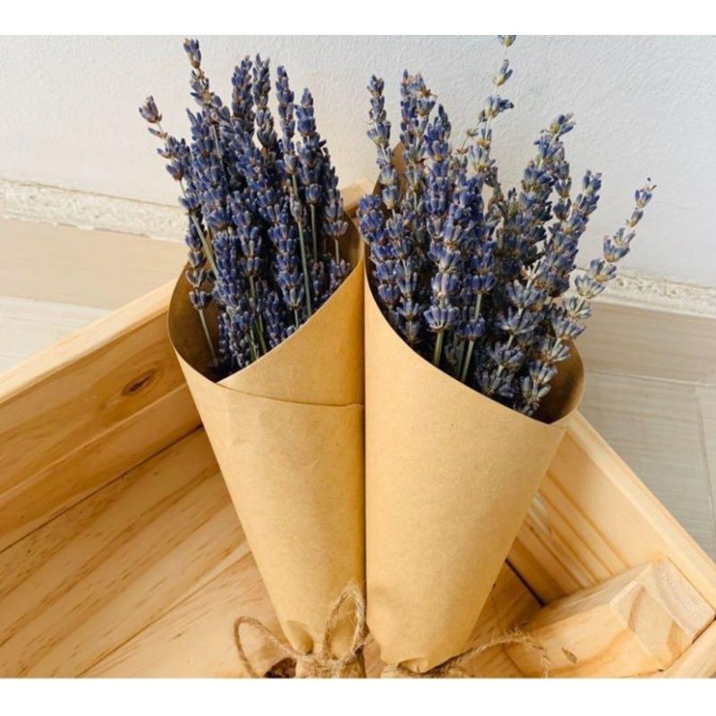 ♥️ 1 CÀNH Hoa Khô Lavender ♥️ decor, trang trí, chụp ảnh sản phẩm