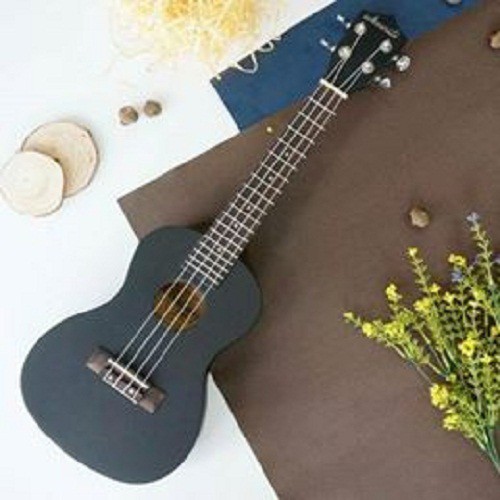 ĐÀN UKULELE CONCERT ĐEN TRƠN - CÓ SẴN