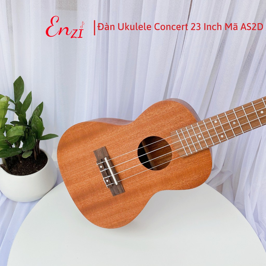 Đàn ukulele concert size 23  mã C3 Enzi kiểu dáng cổ điển khóa xịn, chất lượng âm thanh tuyệt hảo