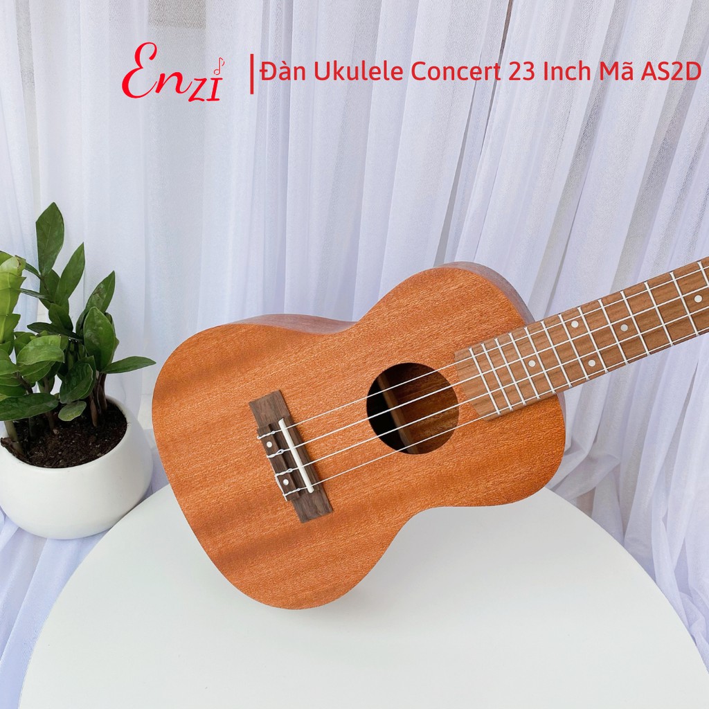 Đàn ukulele concert AS2D Enzi 23 inch gỗ mộc trơn khóa đúc giá rẻ cho bạn mới bắt đầu tập chơi