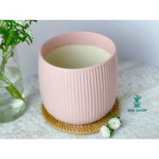 Chậu men trồng cây màu pastel .