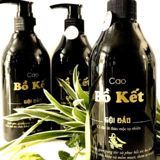 Dầu gội  CAO BỒ KẾT