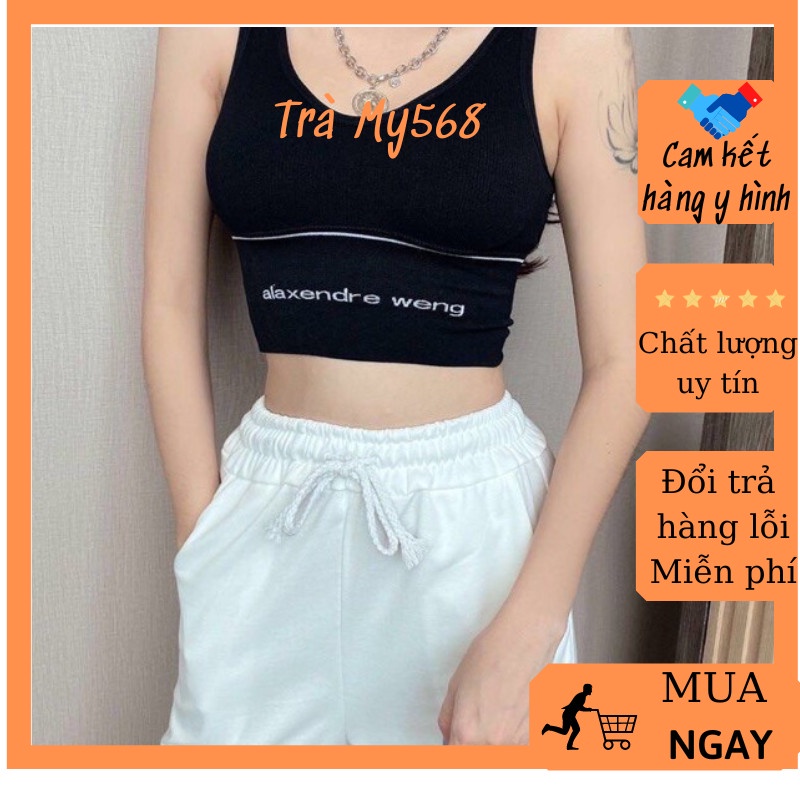 Áo bra, áo tập gym tập yoga mặc vét quần thể thao phong cách hàn quốc TD_44
