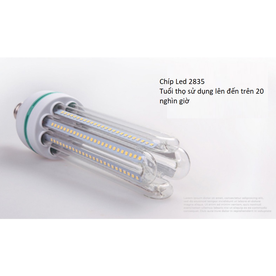 Bóng Đèn Led Chữ U 24w E27 Độ Sáng Cao, Bóng Led Trang Trí Sân Vườn