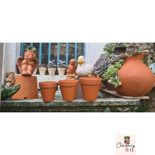 Chậu đất nung - chậu ly gờ 10x10, 9x9, 8x8