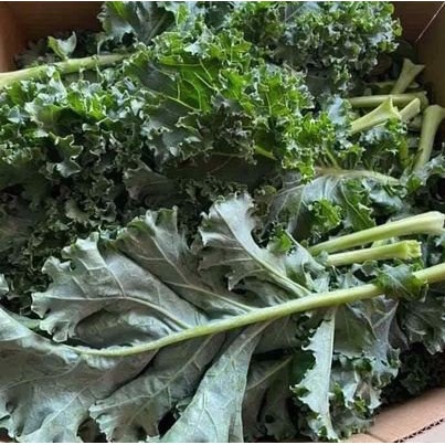 CẢI KALE XOĂN 500GR