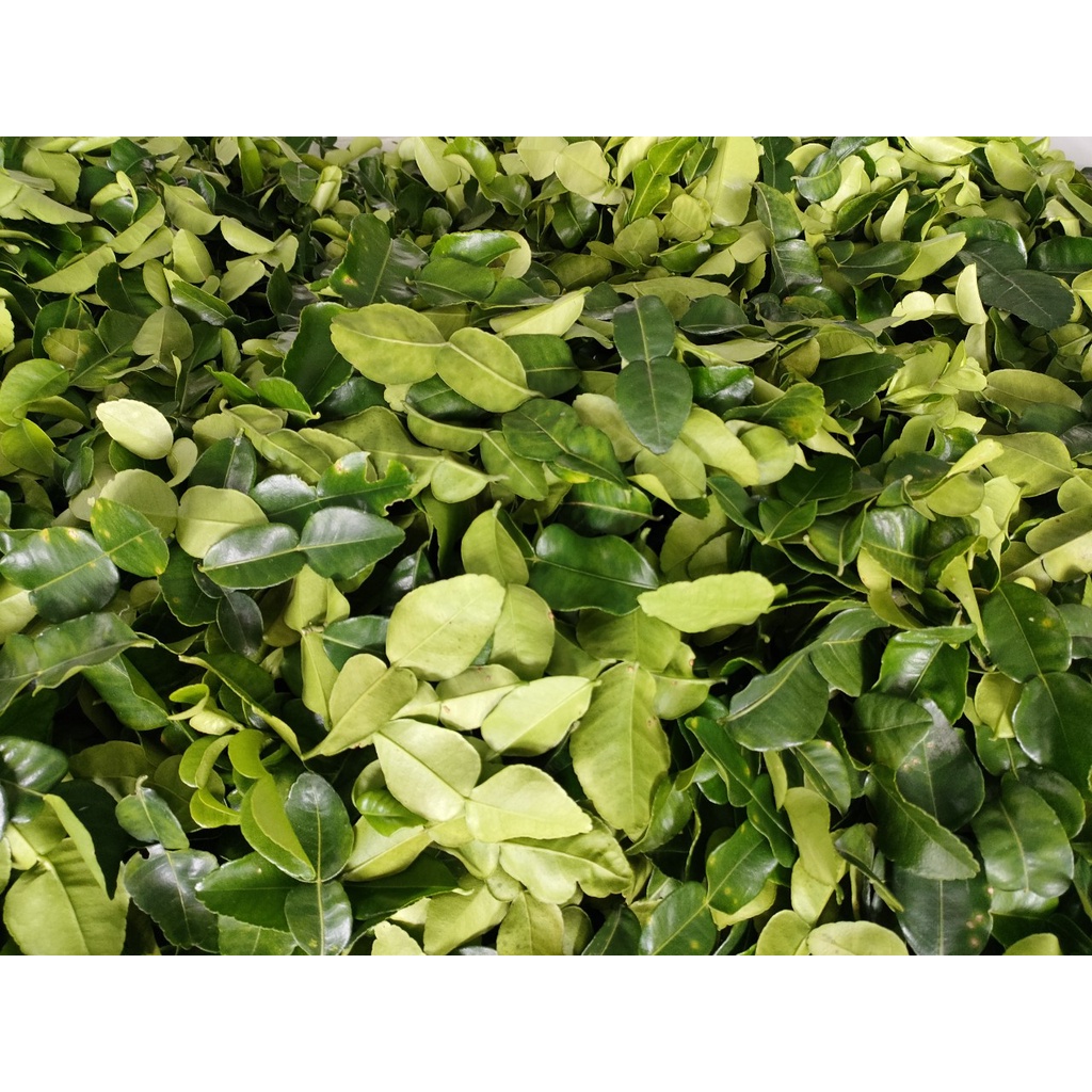 La chúc tươi 100g giá 20k