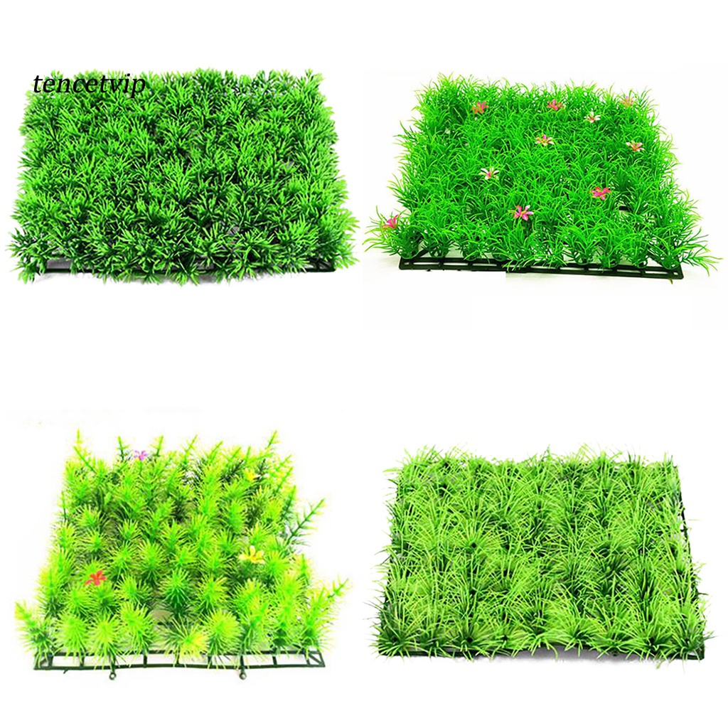 Thang Leo Bằng Nhựa Tinh Tế Dễ Sử Dụng Cho Bể Cá