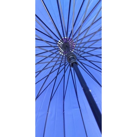 Ô DÙ 24 NAN TÁN TO